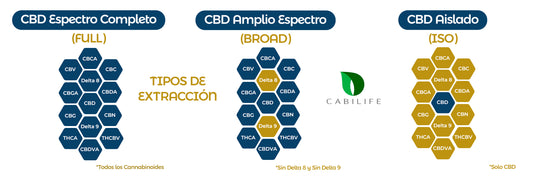 CBD, diferencias entre FULL, BROAD e ISO